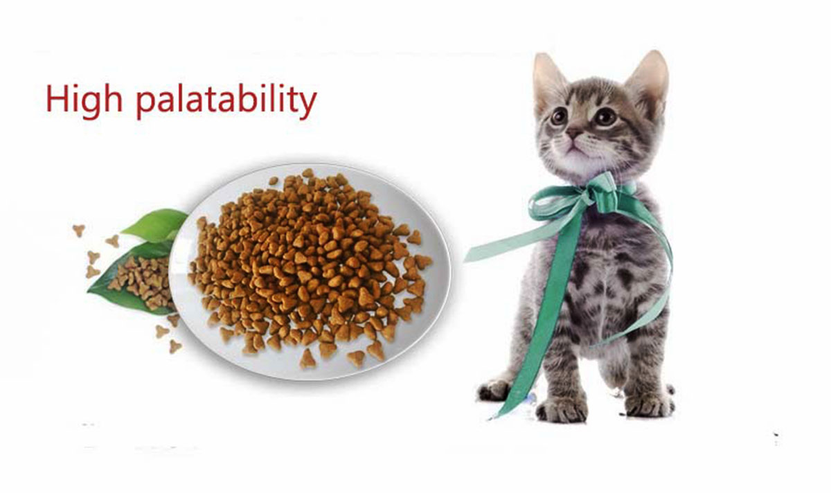 Functional Cat Food for Protection Urinary System