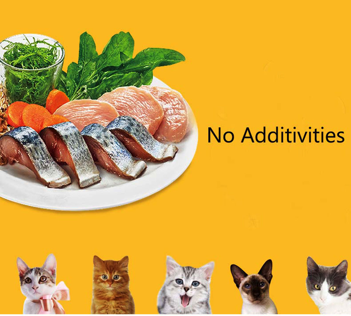 Beef Flavor Adult Cat Food