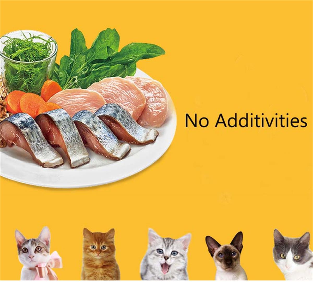 Salmon Flavor Adult Cat Food