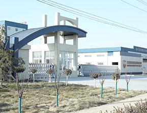 Hebei Maische Pet Food Co., Ltd.