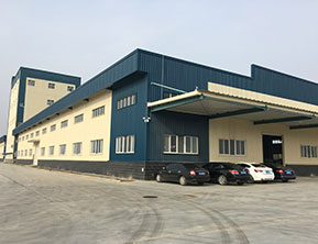 Hebei Maische Pet Food Co., Ltd.